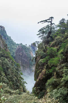 三清山風(fēng)景