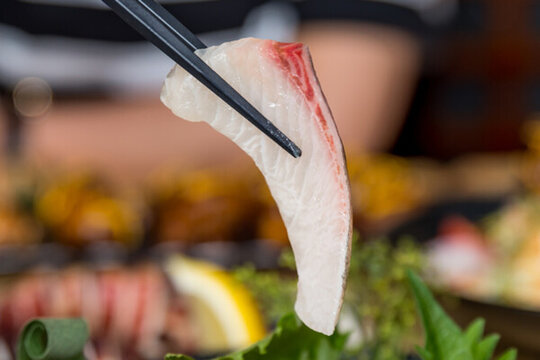 生魚(yú)片
