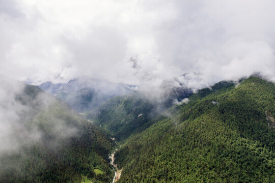 高山迷霧