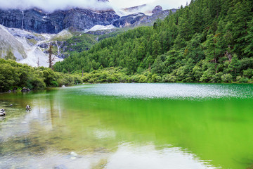 滴翠的風景