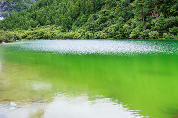 滴翠的風(fēng)景
