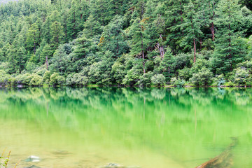 滴翠的風景