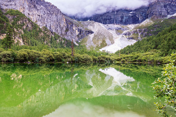 滴翠的風景