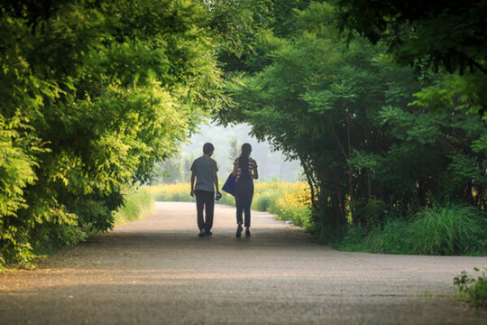 林蔭路上