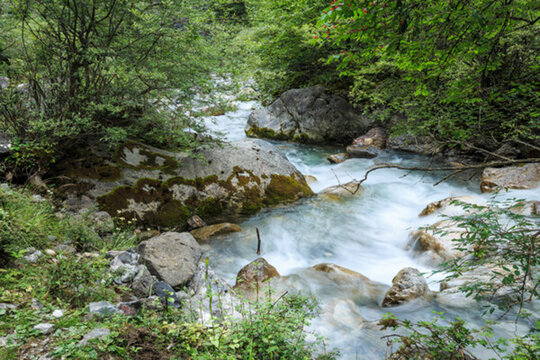山澗溪流