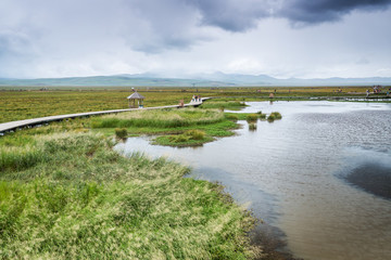 高原花湖
