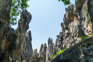 石林地質(zhì)公園