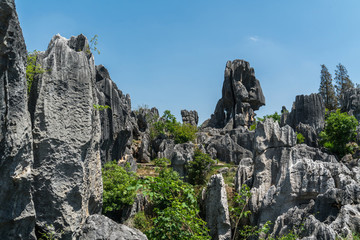 石林風(fēng)景區(qū)