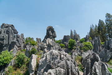 石林風(fēng)景區(qū)