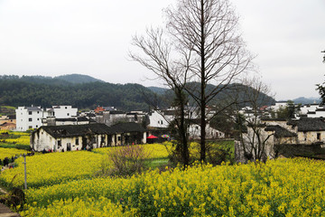 上饒市 婺源縣 思溪延村景區(qū)