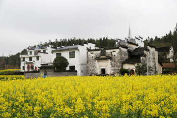 上饒市 婺源縣 思溪延村景區(qū)