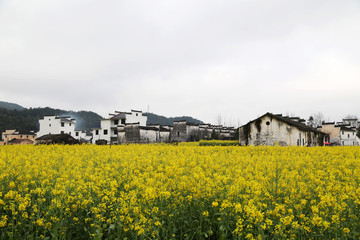上饒市 婺源縣 思溪延村景區(qū)