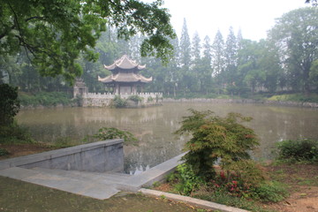 池塘