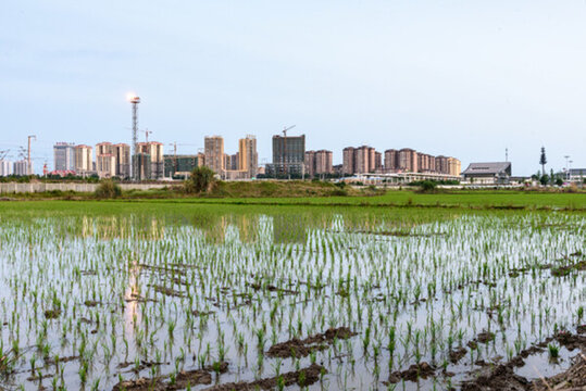高鐵