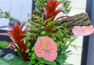 插花