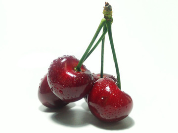 煙臺(tái)大櫻桃