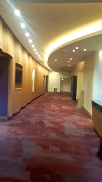 國外室內(nèi)裝修 地毯