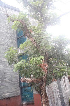 嶺南印象園