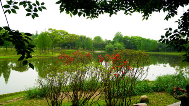 園林生態(tài)園 風(fēng)景