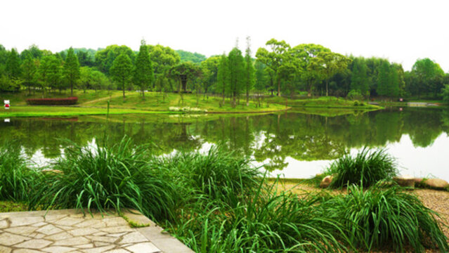 園林生態(tài)園 風(fēng)景