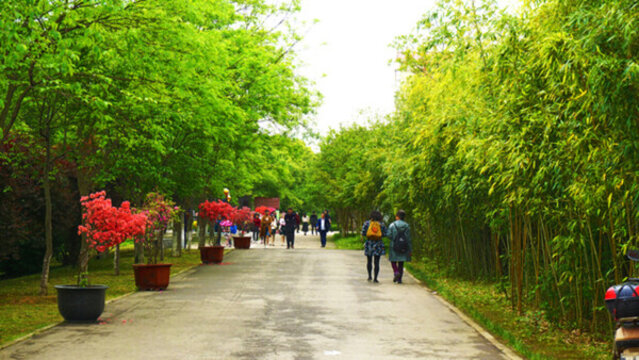 生態(tài)園風景