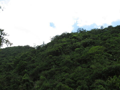 青山