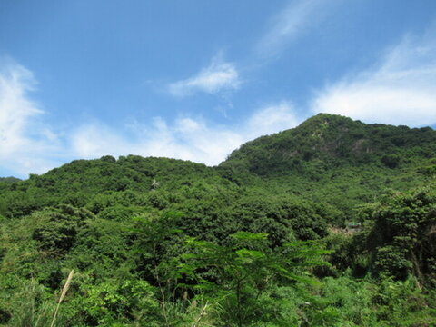 青山