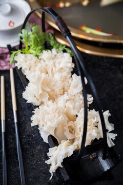 繡球菌