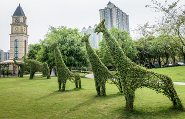 綠地 草坪 中庭 鐘樓
