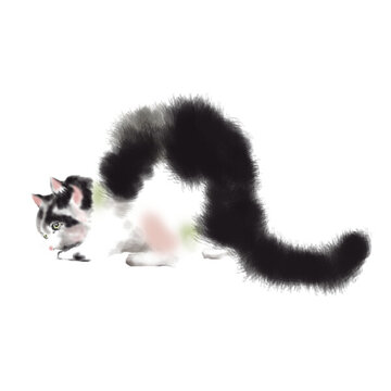 貓咪與蝴蝶