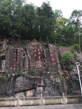 廣東省江門大雁山國(guó)家森林公園