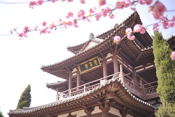 青龍寺