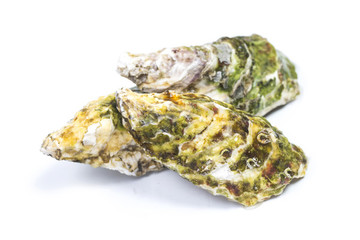 生蠔 牡蠣