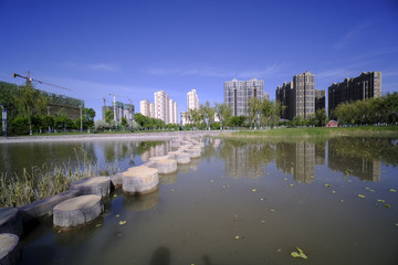 城市綠地