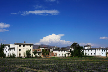 鄉(xiāng)村美景 大理風(fēng)光