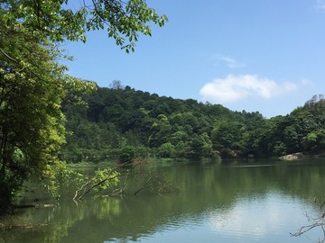 石門國家森林公園山水風景