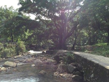 石門國家森林公園山水風(fēng)景