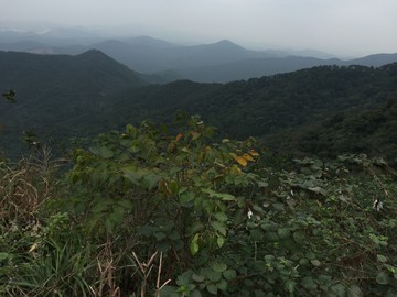 皂幕山青山綠水風(fēng)景