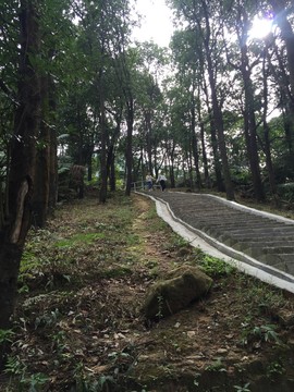 皂幕山青山綠水風景