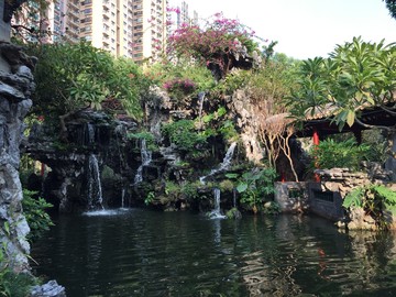 清暉園古跡園林風(fēng)景