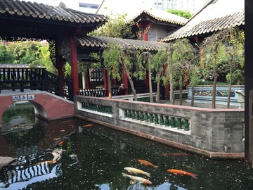 清暉園古跡園林風(fēng)景