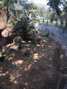 廣州動(dòng)物園