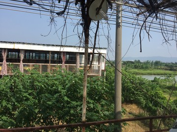 南海平沙島田園風(fēng)景旅游散心