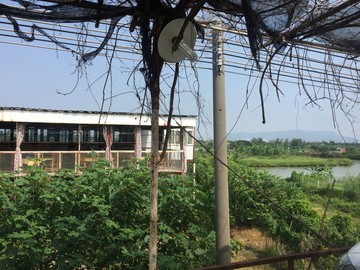 南海平沙島田園風景旅游散心