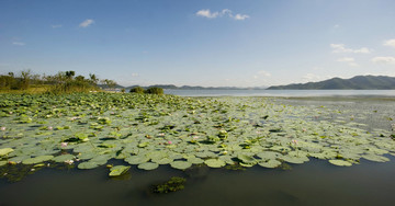 東錢湖