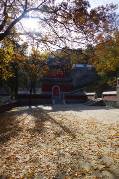香山
