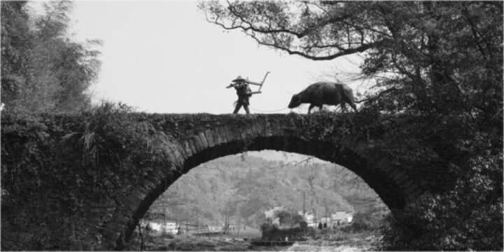 牛耕圖