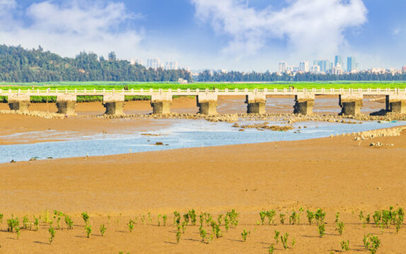 洛陽橋