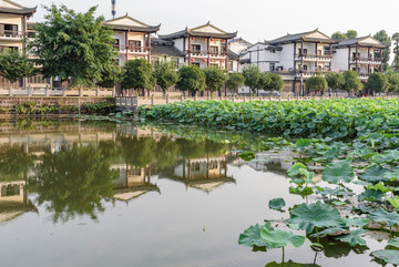 新農(nóng)村