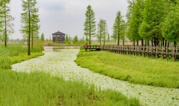 青西郊野公園